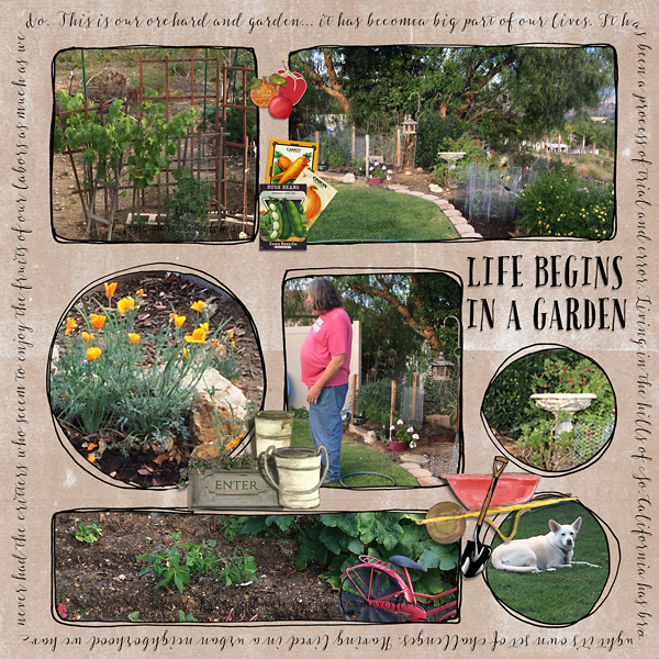 Life-Begins-in-a-Garden