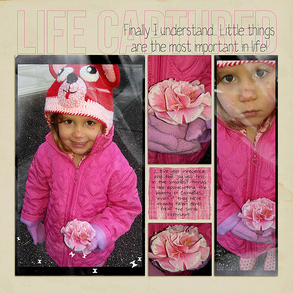 Life Captured