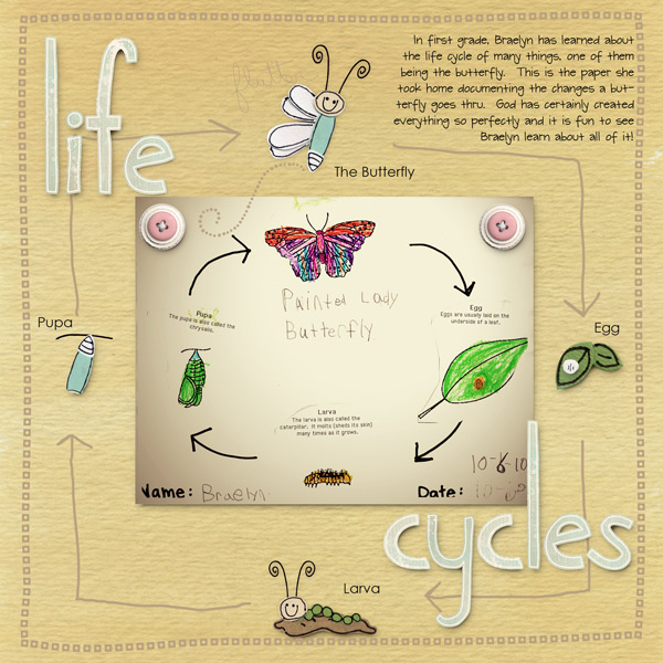 Life Cycle