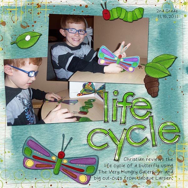 Life Cycle