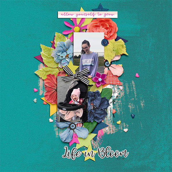 Life In Bloom