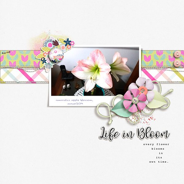 life in bloom