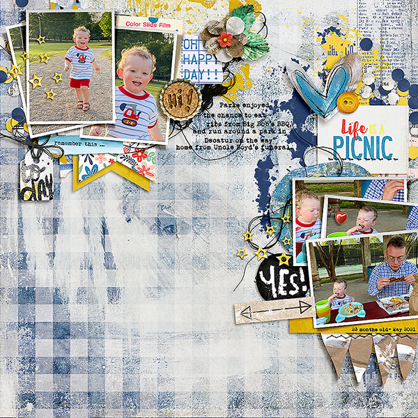 Life is a Picnic