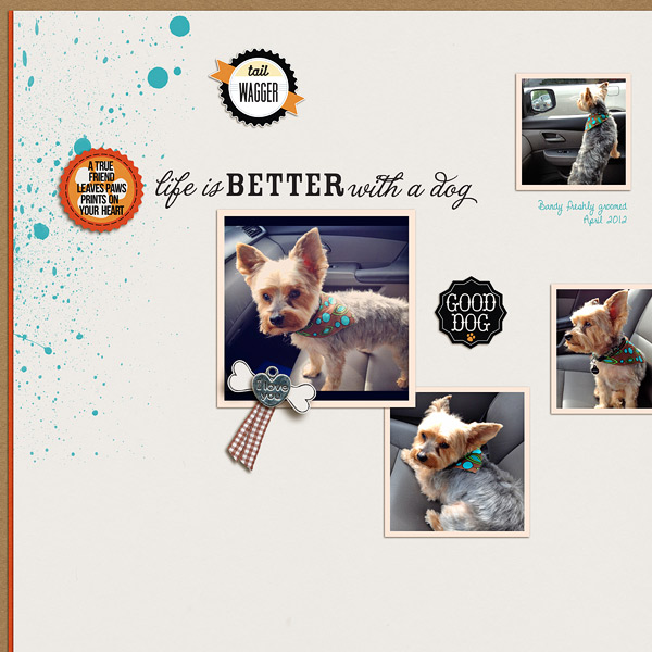 Life is Better with a Dog