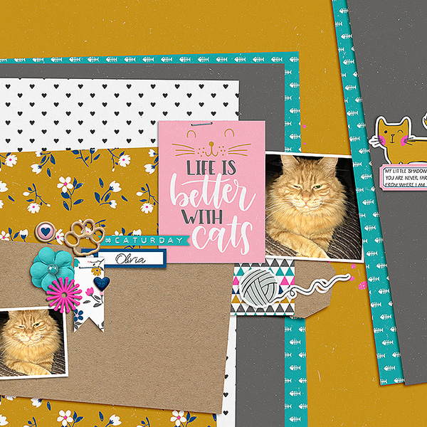 Life is Better With Cats
