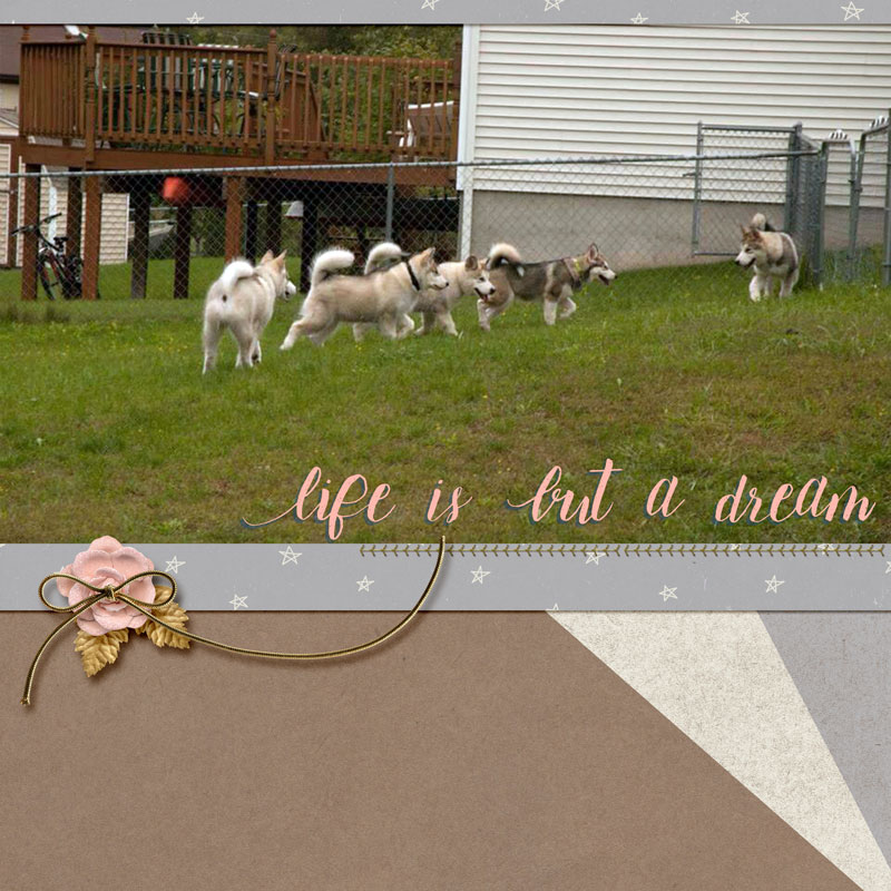 Life is But a Dream - March Style Challenge