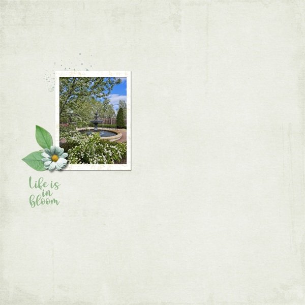 Life Is In Bloom May 2026.jpg