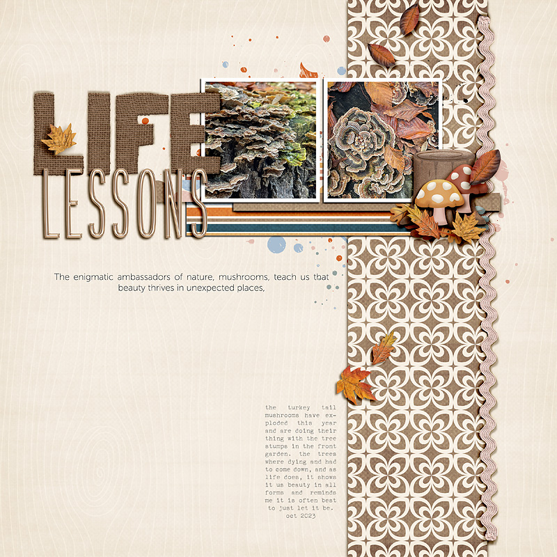 life lessons | nov '23 byoc