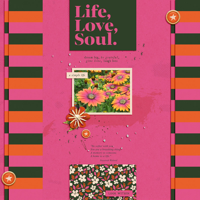 Life Love Soul