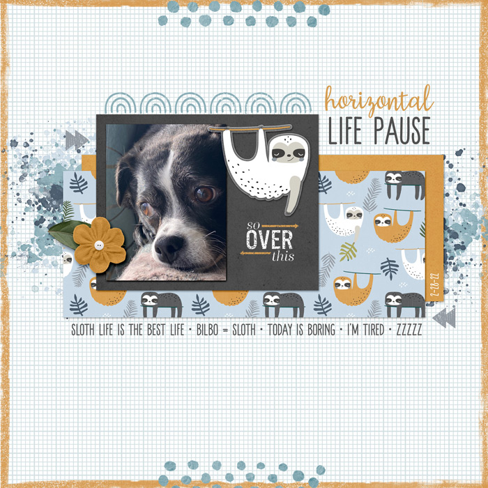 Life Pause