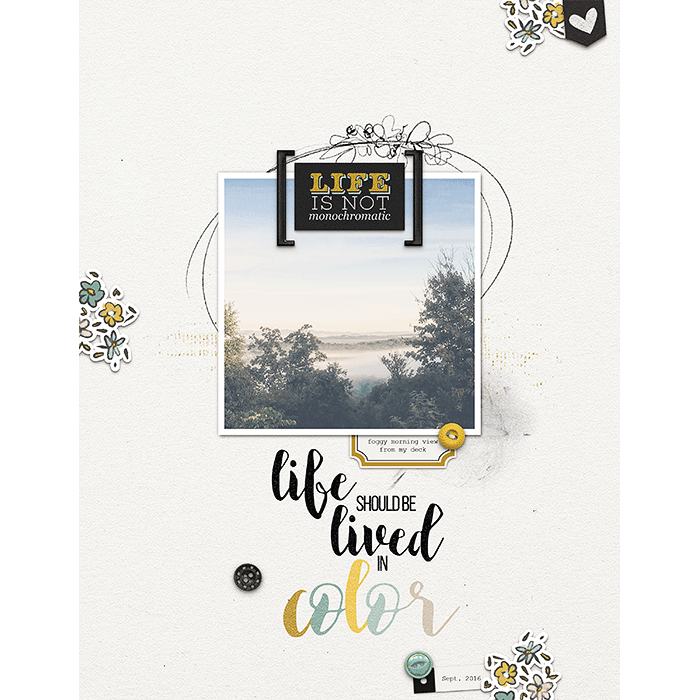 Life Should be Lived in Color