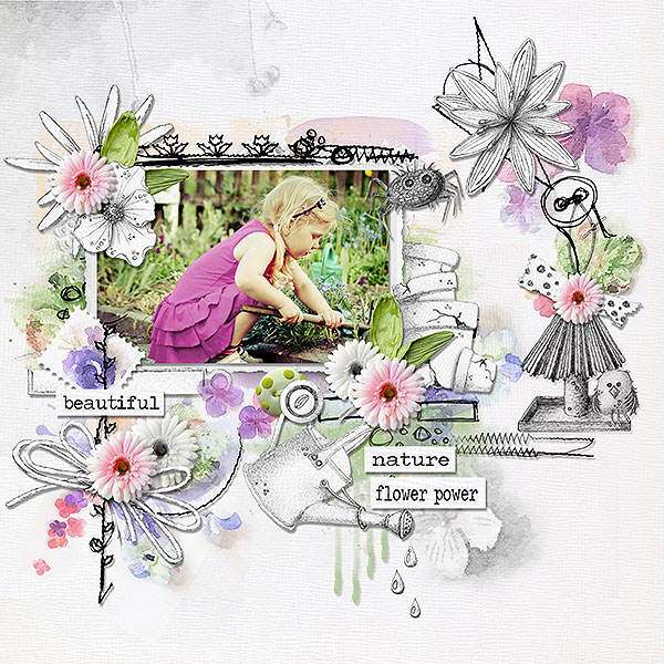 Light and Shade: Flower Garden Collection