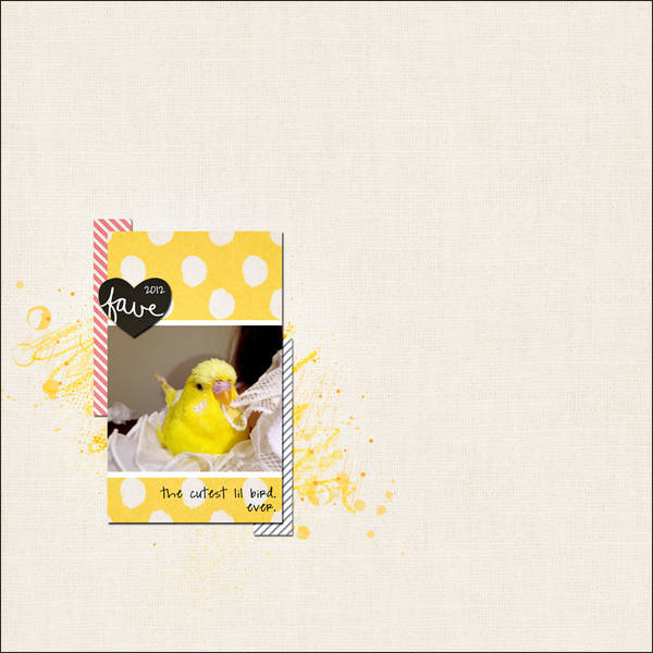 lil bird ...