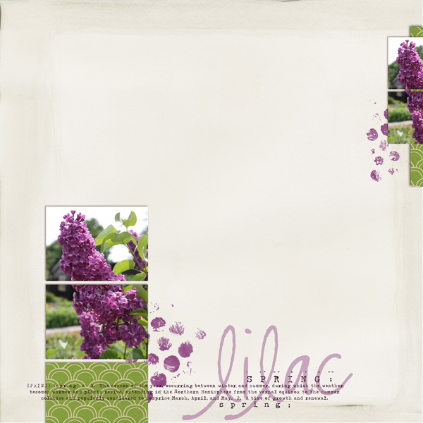 Lilac Spring