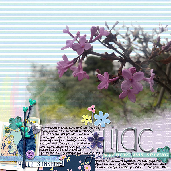 Lilac