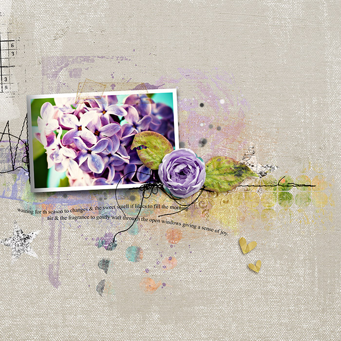 lilacs