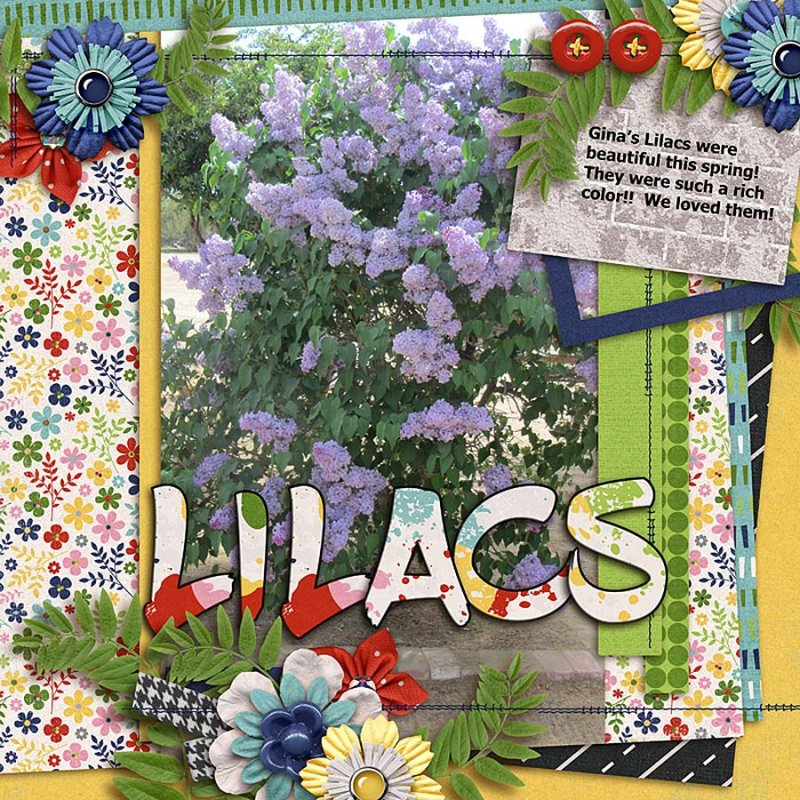 Lilacs_bd 900