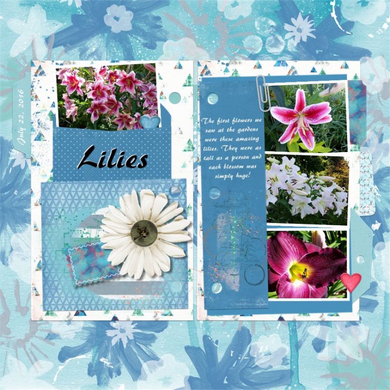 Lilies