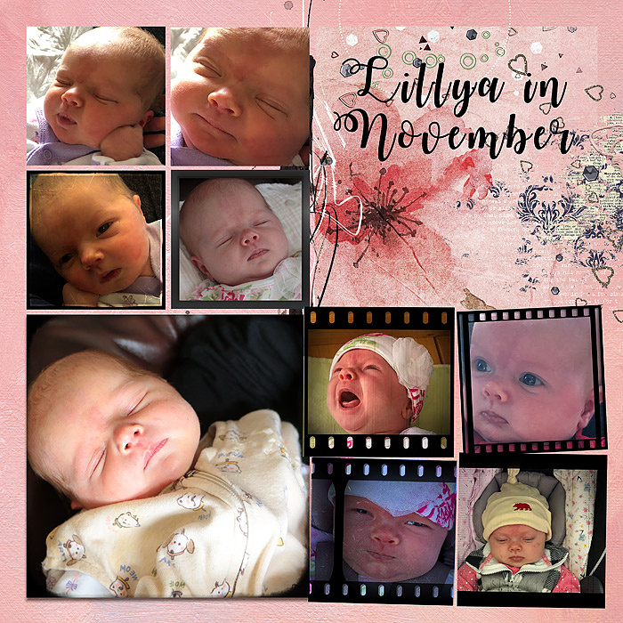Lillya in November