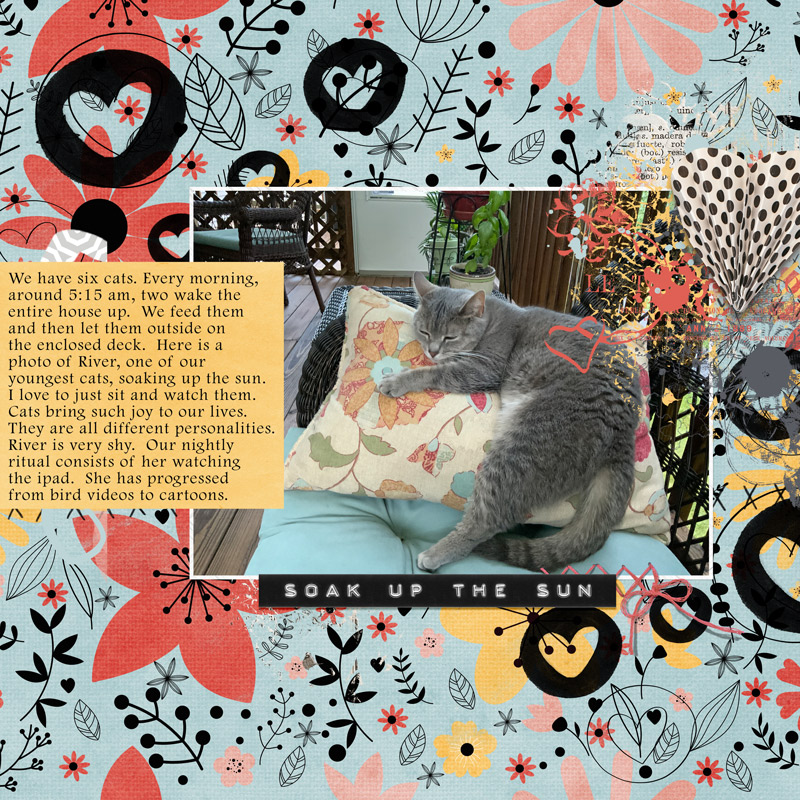 Lily-pad-august-2020-journal