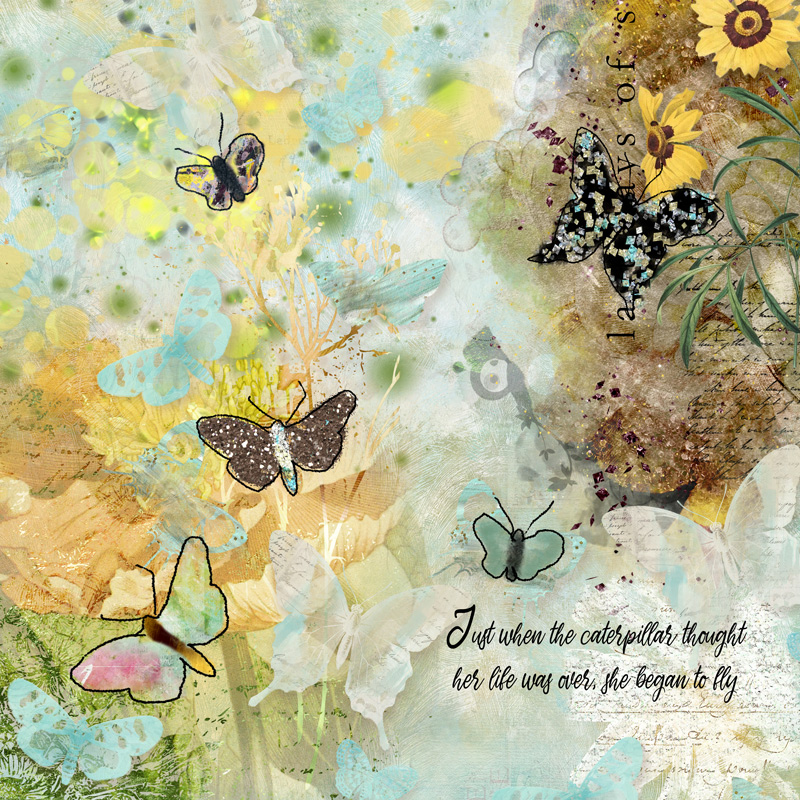Lily-pad-nbk-july-august-brush