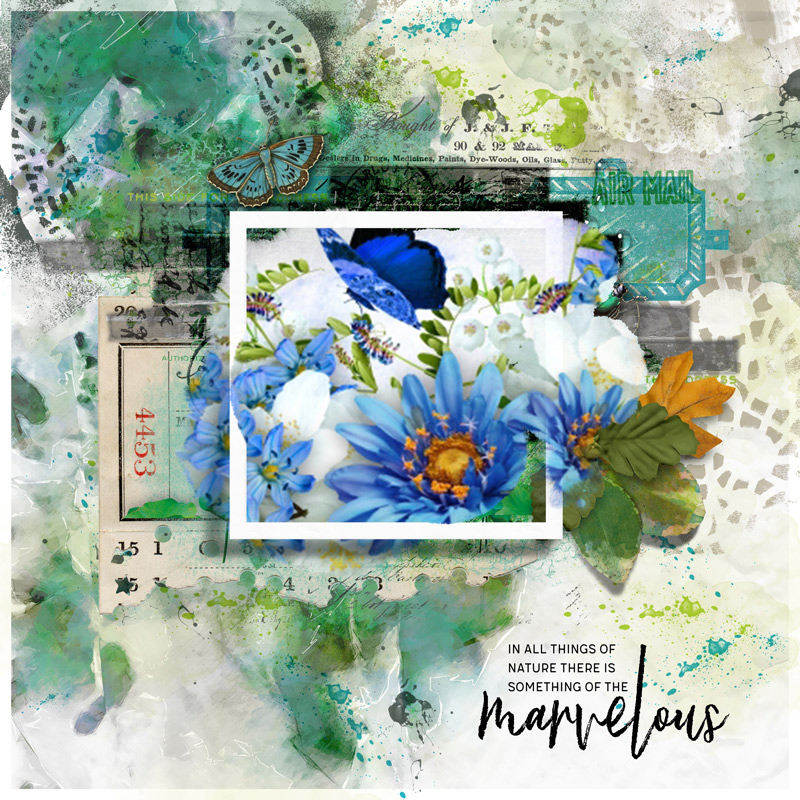 Lily-pad-november-random