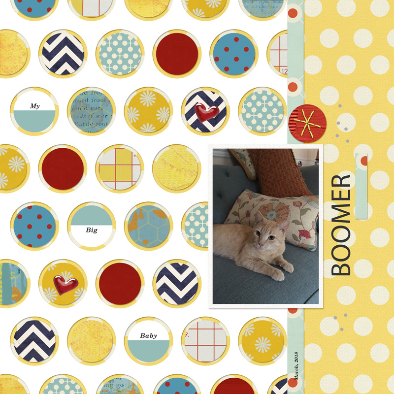 Lily-pad-sahlinstudio_10oct19template_PSD