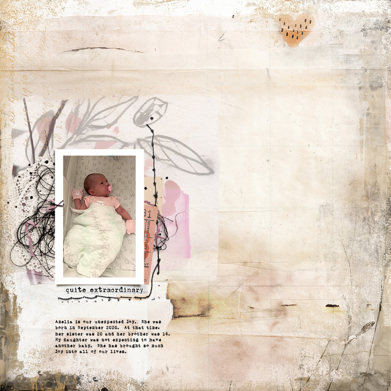 Lilypad 2024 05 Rj Mixed