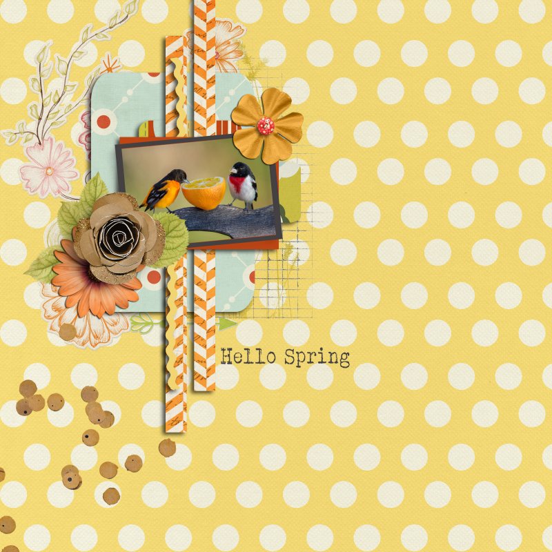 Lilypad March Inspiration