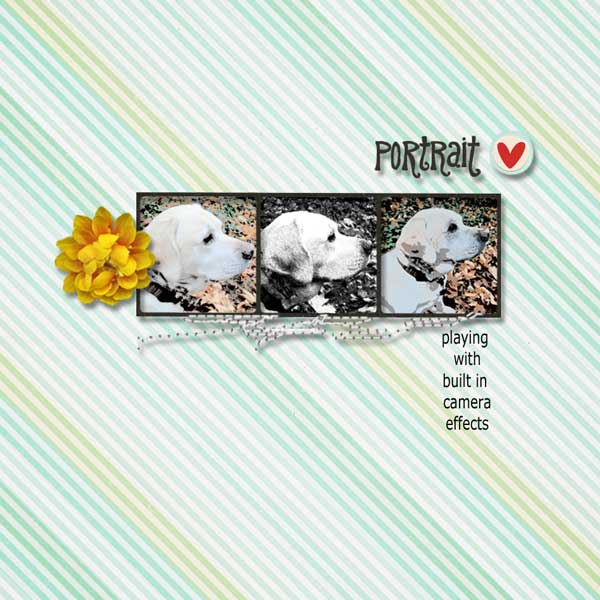 lilypad-moc-jan-13-scraplift