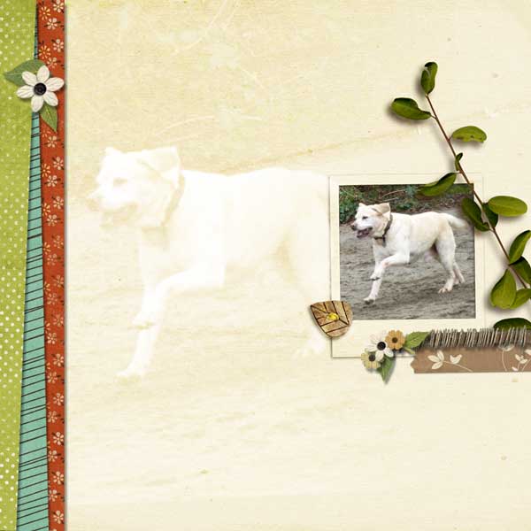 lilypad-moc-jan-14-quickpage_Embellishment