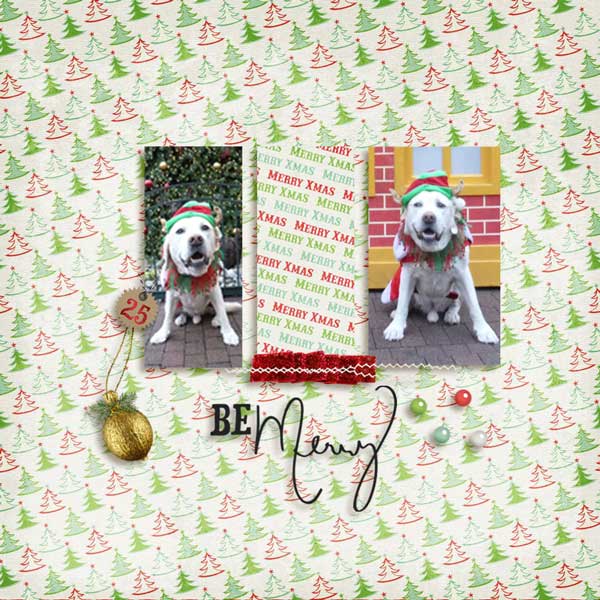 lilypad-moc-jan-21 Clean & Simple Template