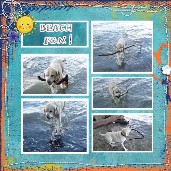 lilypad-moc-jan-23-Mood-Board_inspiration