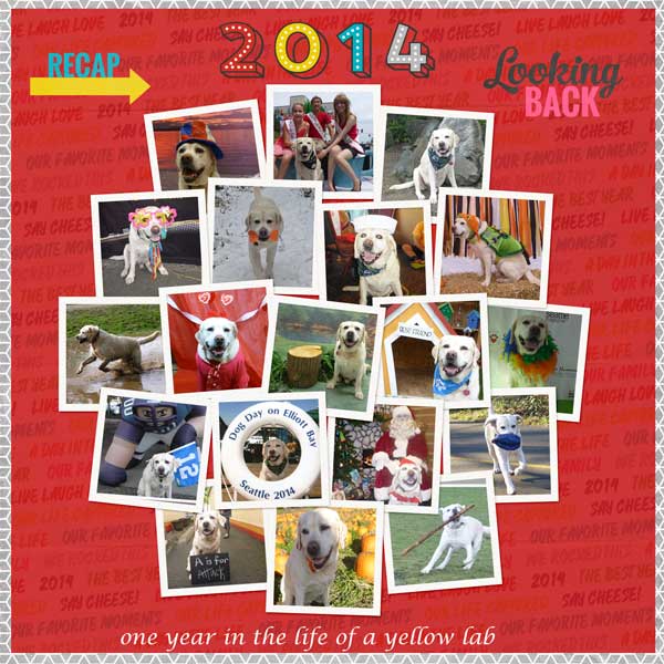 lilypad-moc-jan-28-year-in-review