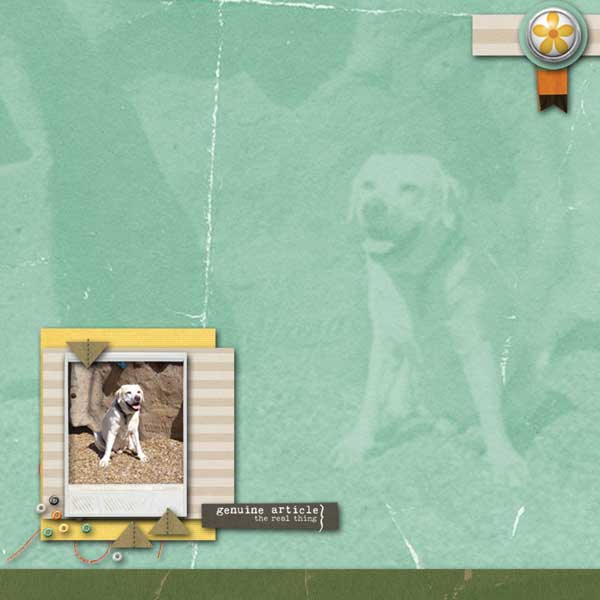 lilypad-moc-jan-9-Combine-2 templates