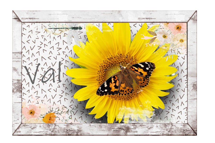 Lilypad Siggy Take 2.jpg