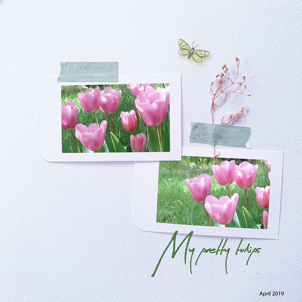 Lilypad_muse_W2-copy