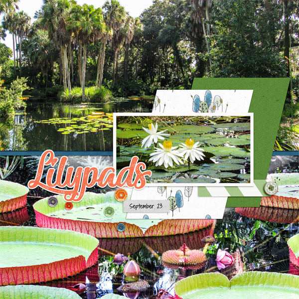 Lilypads at Bok Tower Gardens