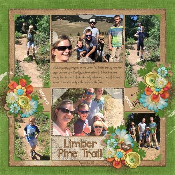 Limber Pine
