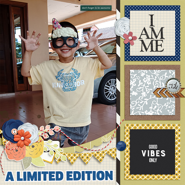 Limited Edition