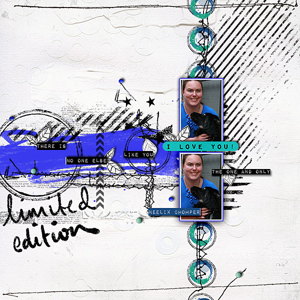 Limited Edtion