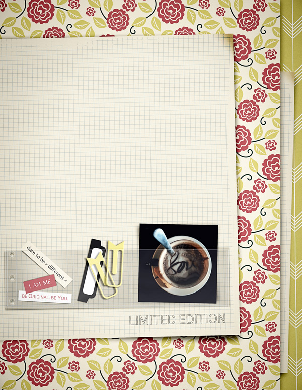 LimitedEdition