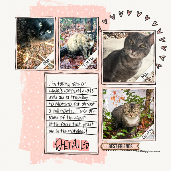 Lindas_Cats