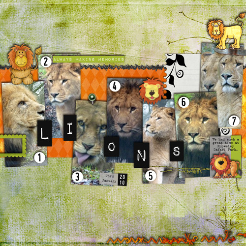 Lions