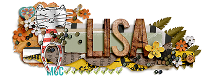 Lisa_2022SiggyA