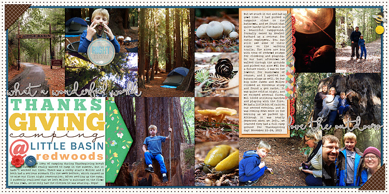 Little Basin Redwoods