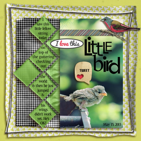 Little Bird