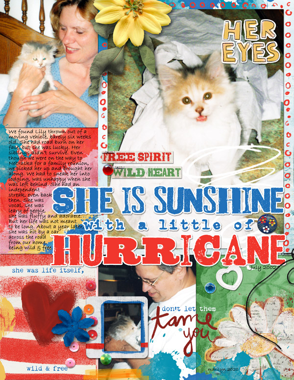 Little-Butterfly-Wings_2020-07_July_BYOC_0703_Sunshine-&-Hurricane_web