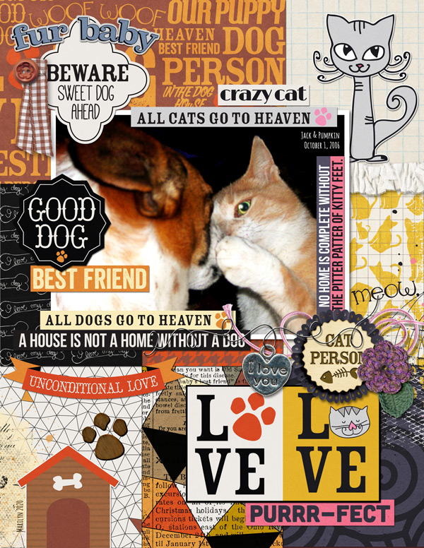 Little-Butterfly-Wings_2020-11_November_CM_1130_All-Cats-&-Dogs-Go-To-Heaven_web