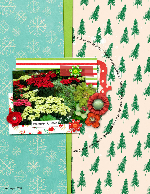 Little-Butterfly-Wings_2020-12_December_SOSN_1223_Xmas-Splendor_web